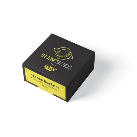 Rychle Lemon Tree Fast odrůda konopí Lemon Tree Fast
