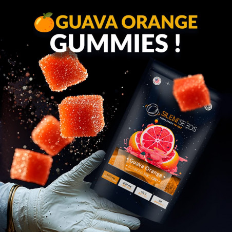 Gumové bonbóny s THC a CBD | Guava a pomeranč