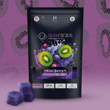 Gumové bonbóny s THC a CBD | Kiwi Berry