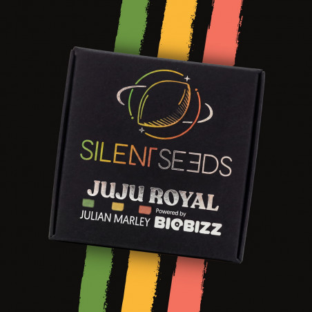 Julian Marley Special
