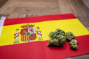 kluby a společenská setkání kolem konopí v Barceloně