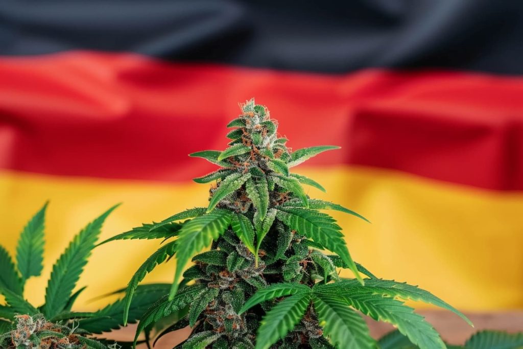 legalizace konopí v Německu